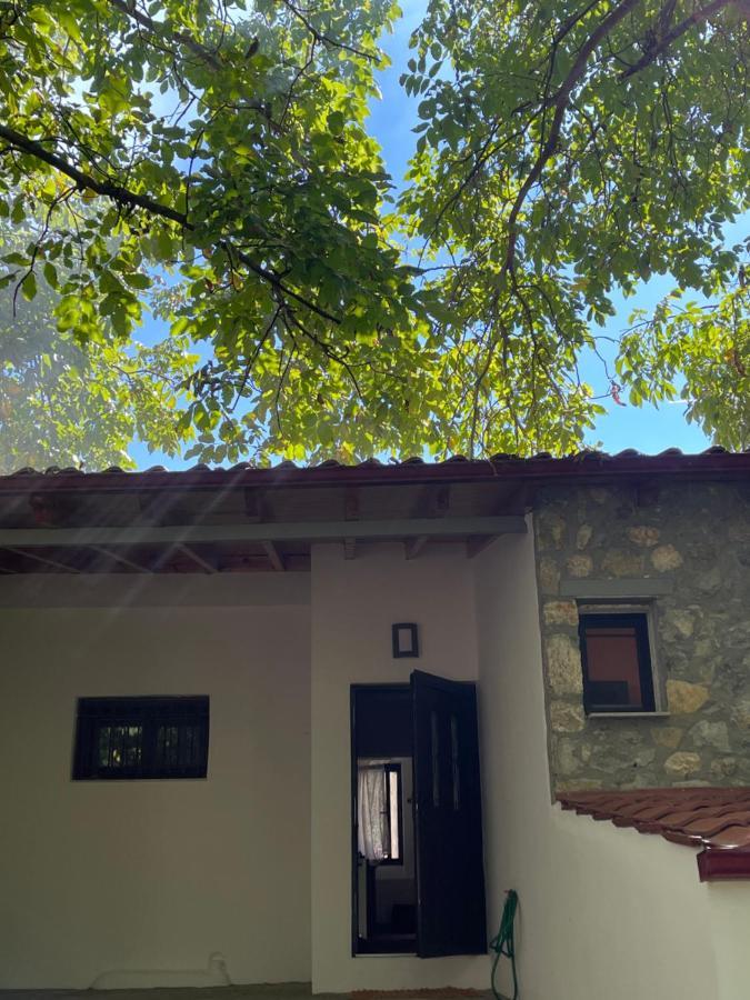 Stymfalia Cozy Village Guesthouse Karteri  Luaran gambar